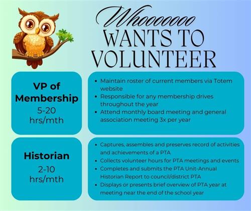 Volunteer